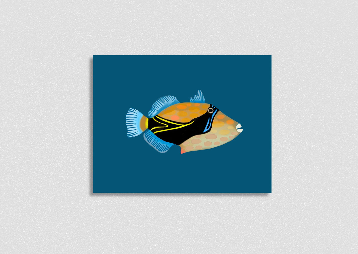 hawaiian triggerfish | fine art print