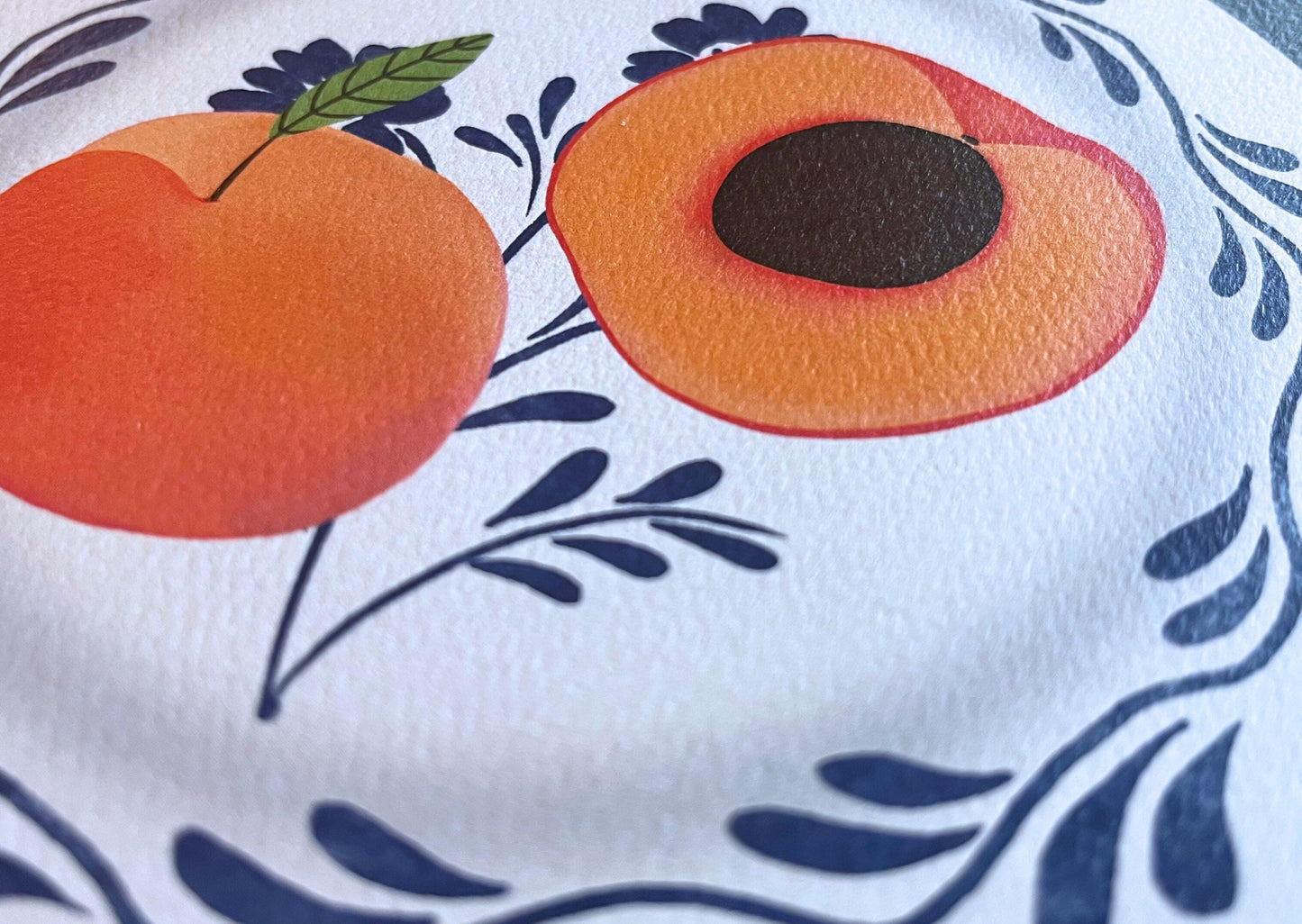 apricot | fine art print