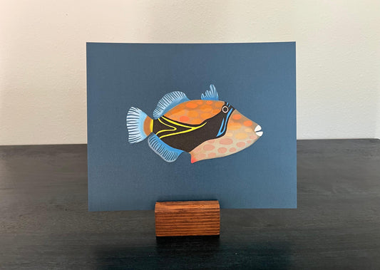 hawaiian triggerfish | fine art print