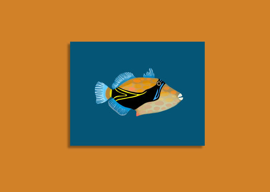 hawaiian triggerfish | fine art print